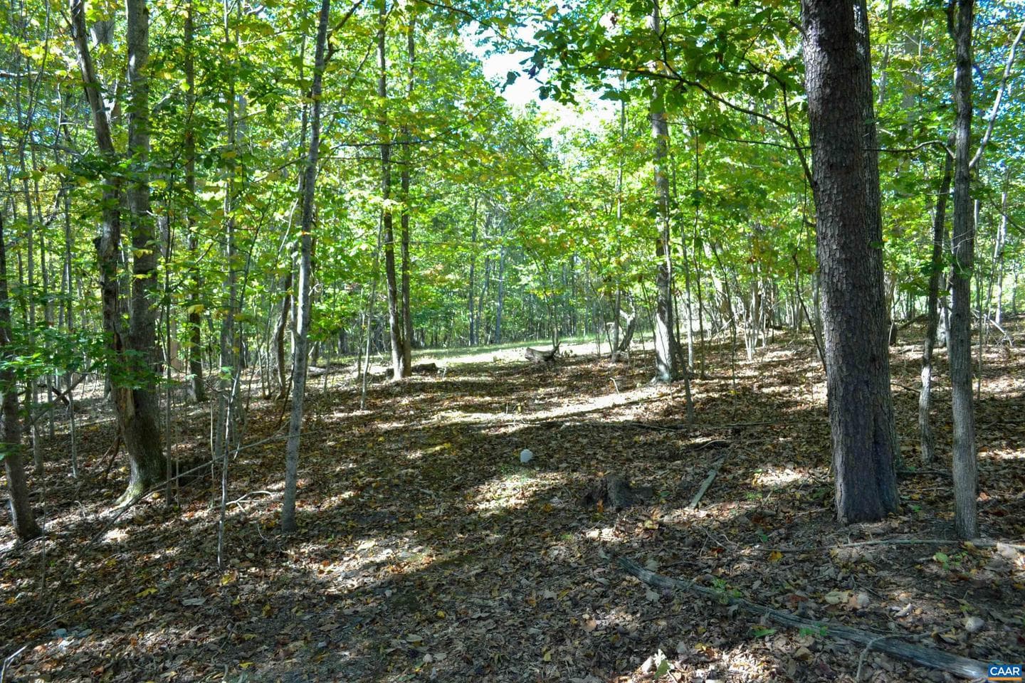16070 Burnley Rd photo 34