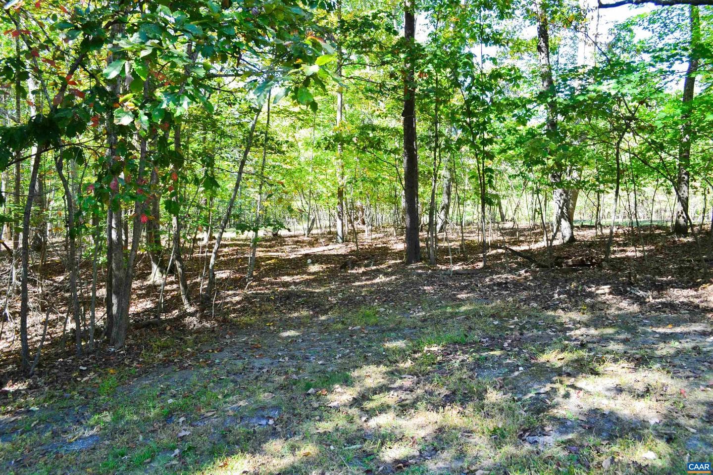 16070 Burnley Rd photo 37
