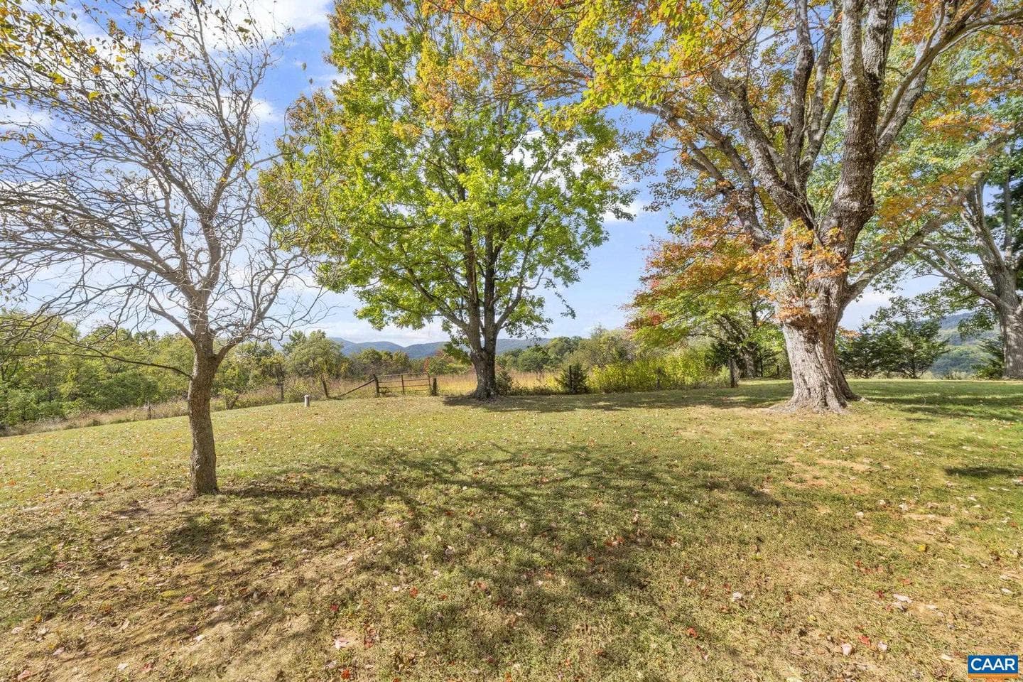 9281 Dick Woods Rd photo 2