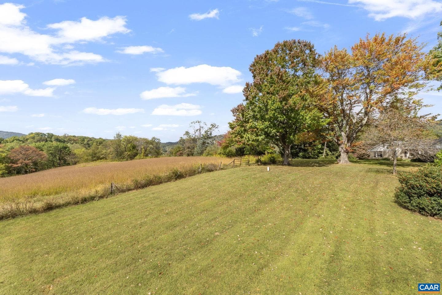9281 Dick Woods Rd photo 23