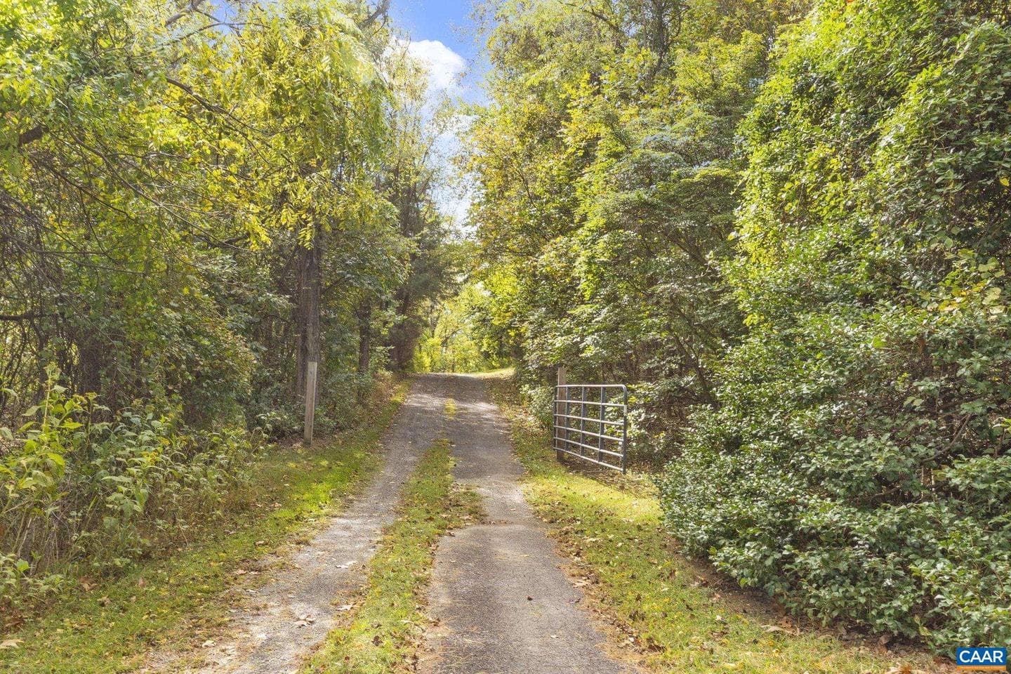9281 Dick Woods Rd photo 24