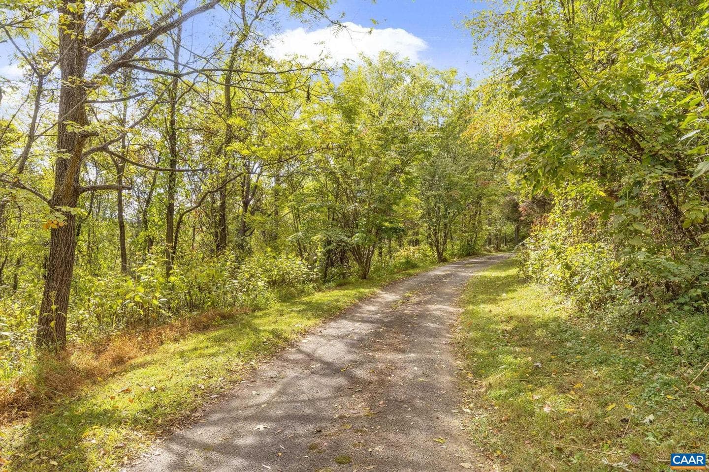 9281 Dick Woods Rd photo 25
