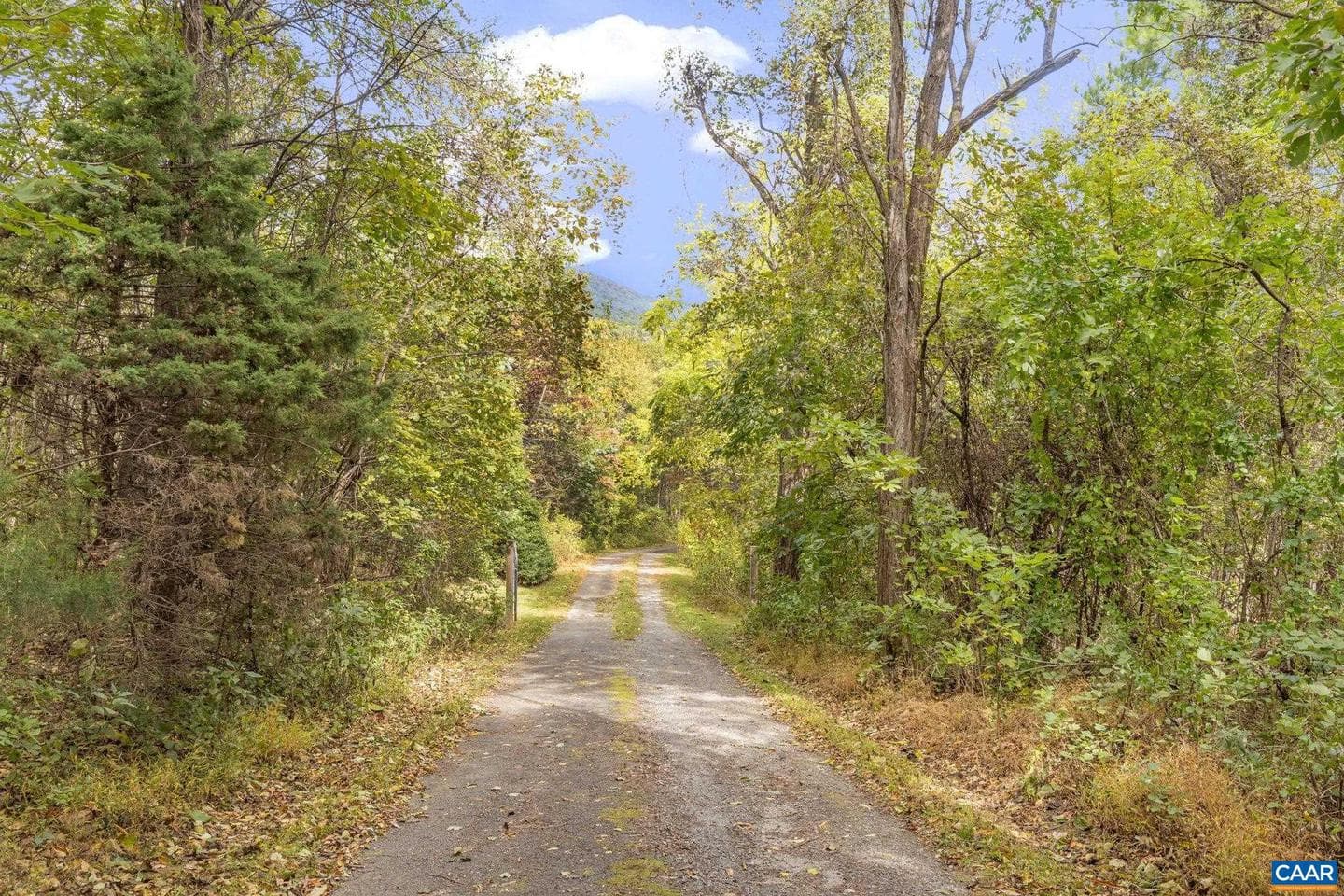 9281 Dick Woods Rd photo 26