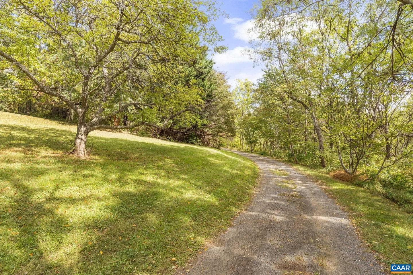 9281 Dick Woods Rd photo 27