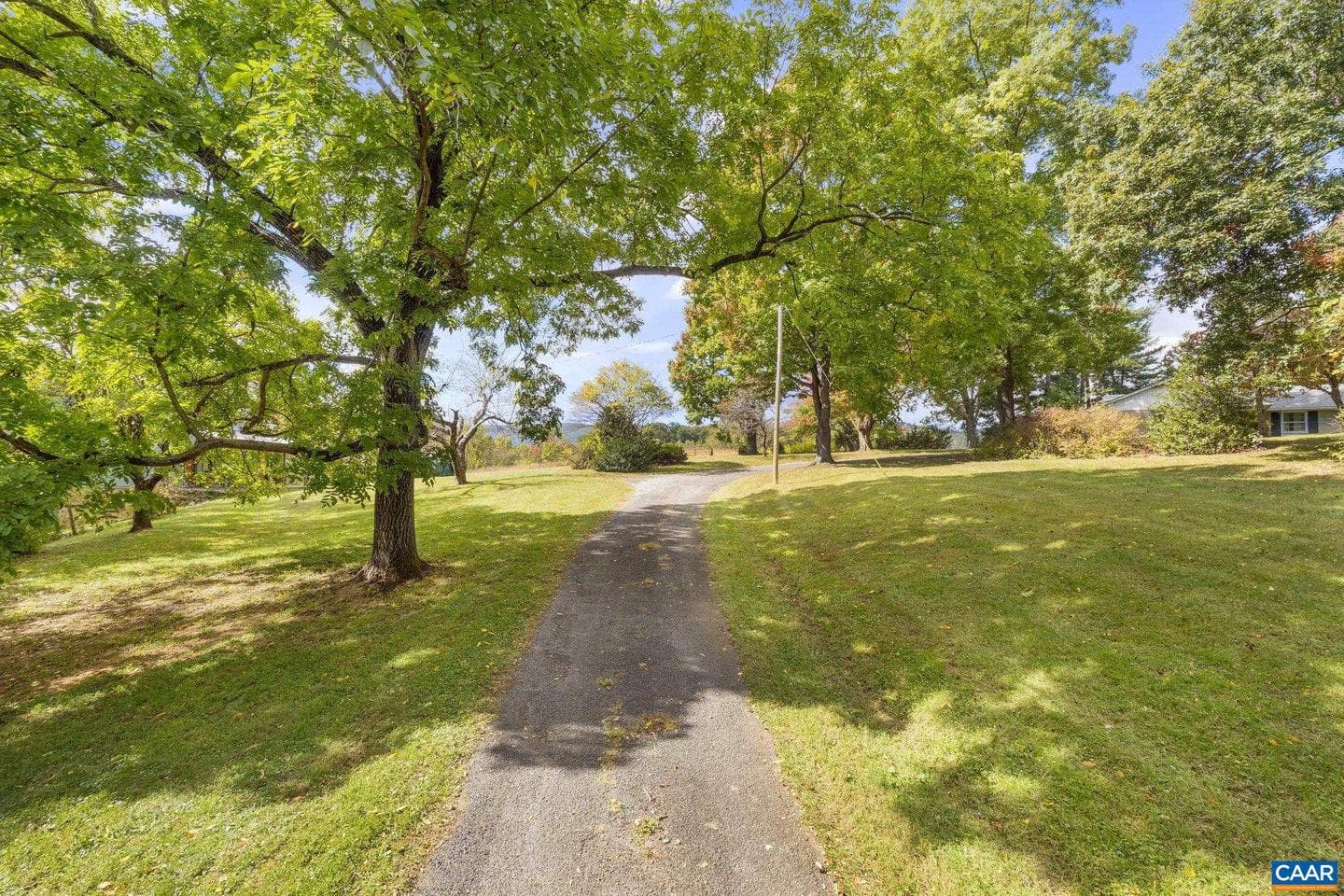 9281 Dick Woods Rd photo 28