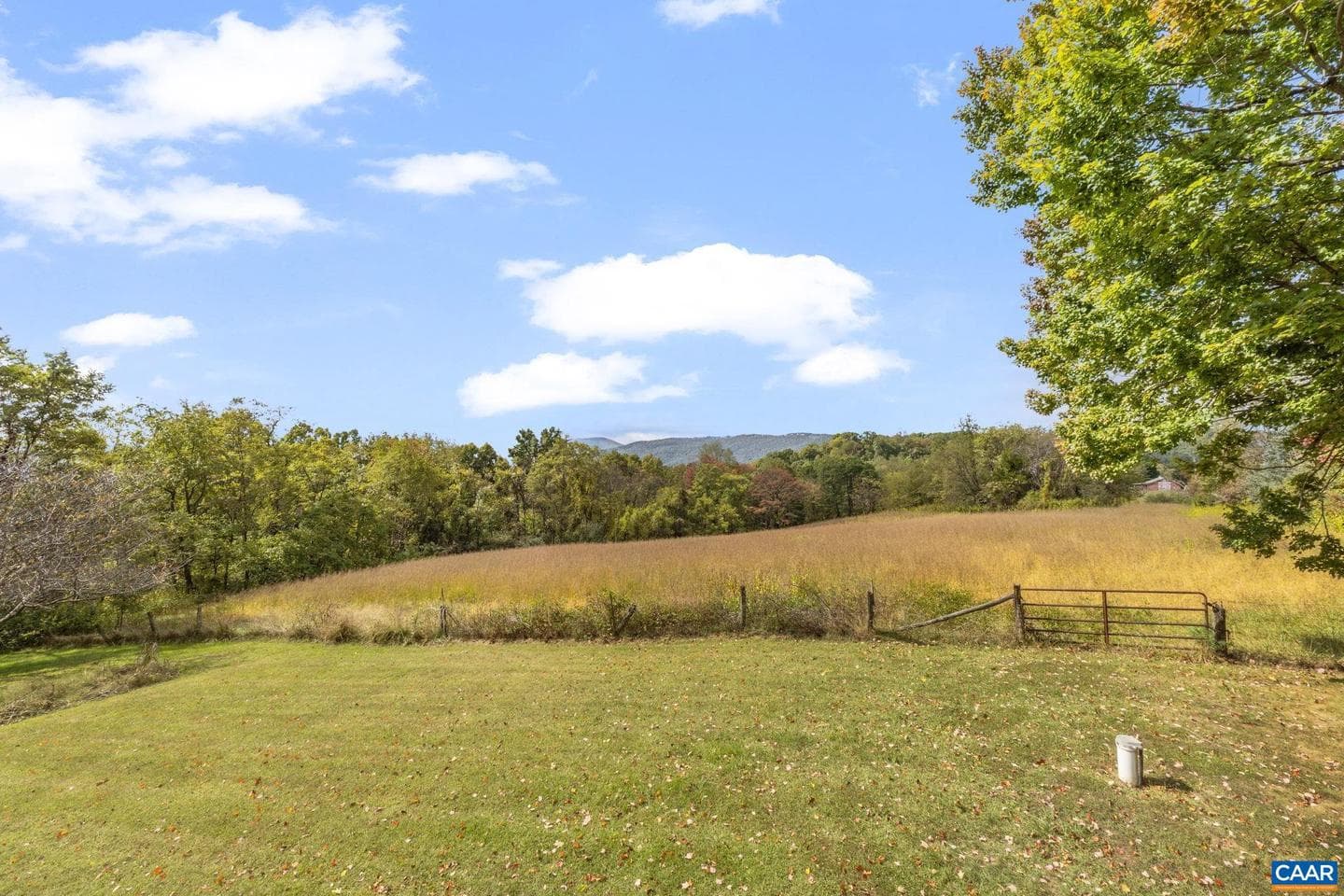 9281 Dick Woods Rd photo 4