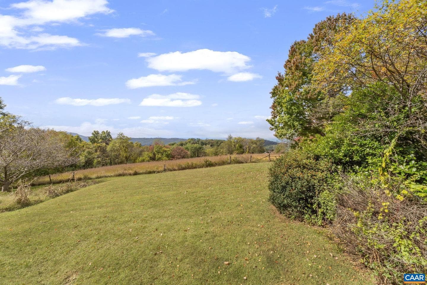 9281 Dick Woods Rd photo 5