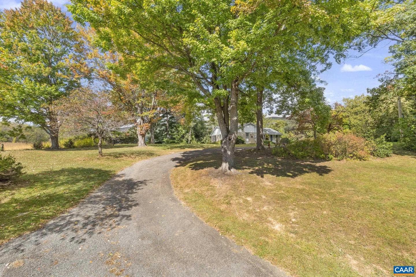 9281 Dick Woods Rd photo 6