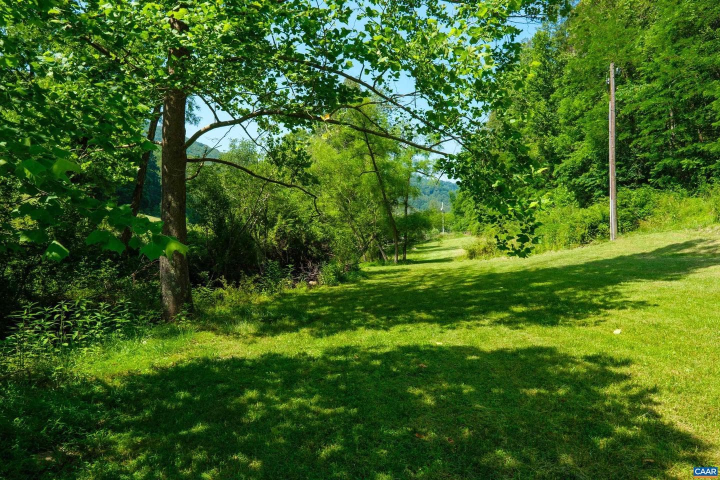 4375 Taylor Creek Rd photo 72