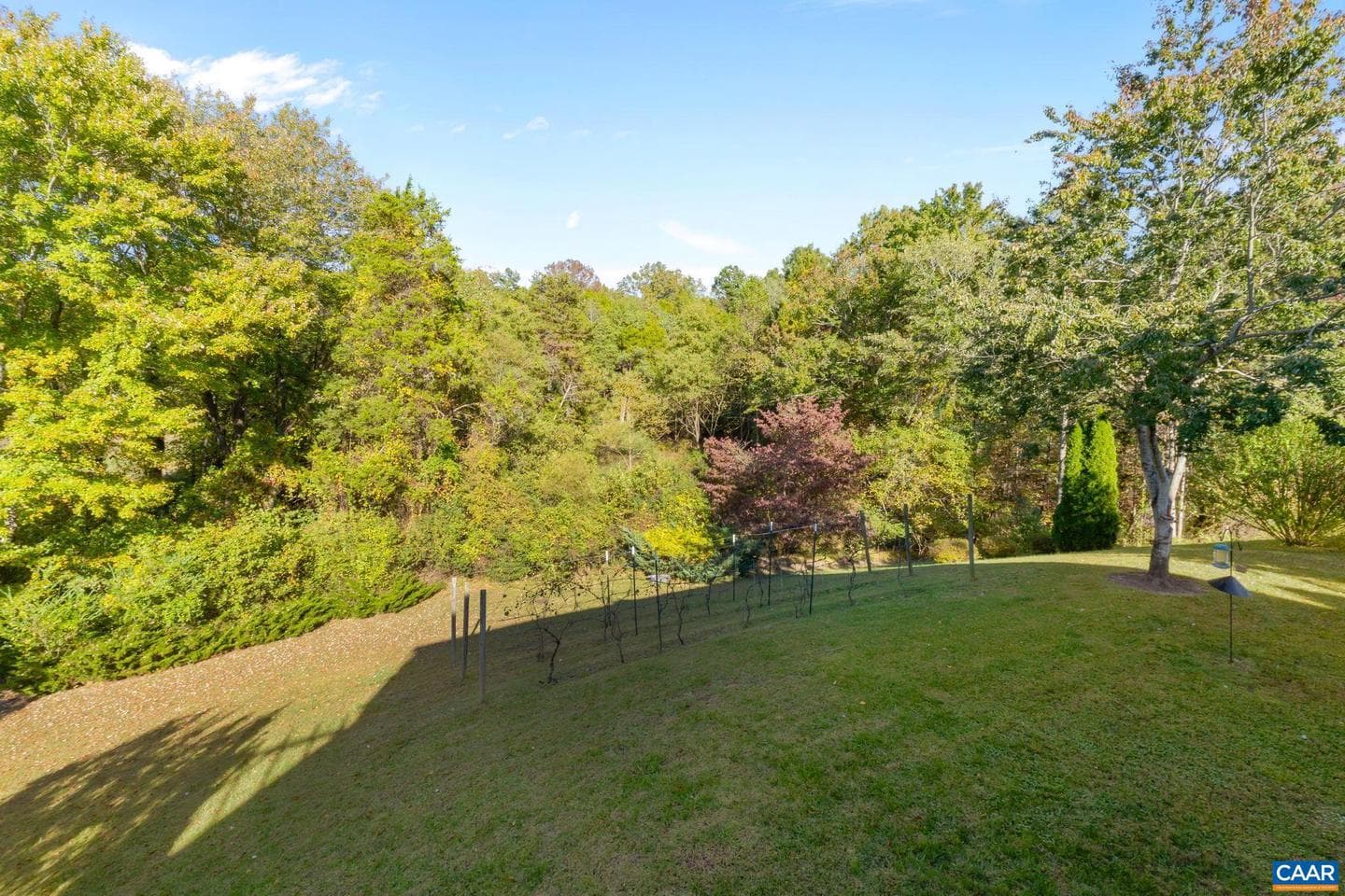 10109 Pond Ct photo 41