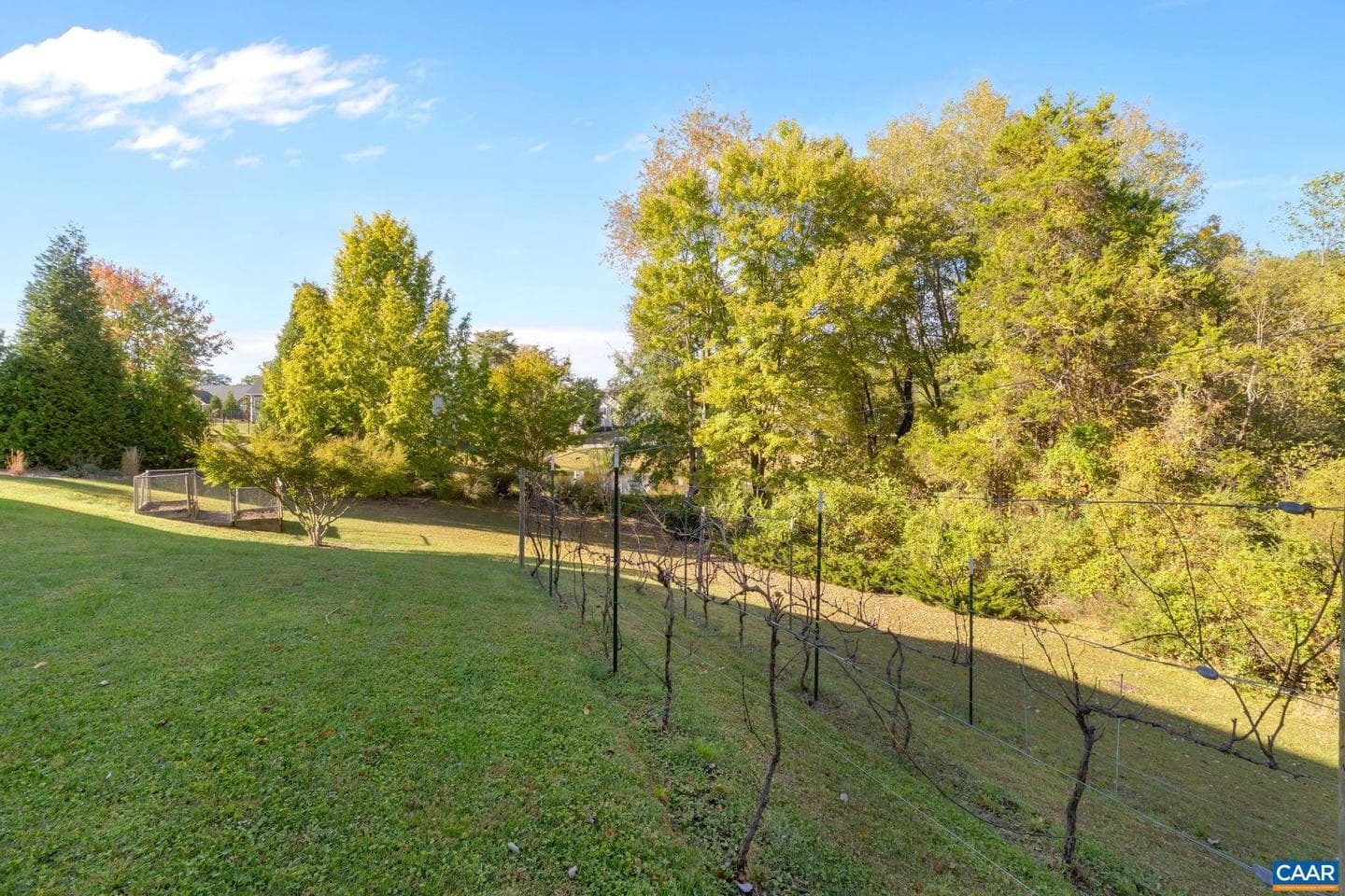10109 Pond Ct photo 44