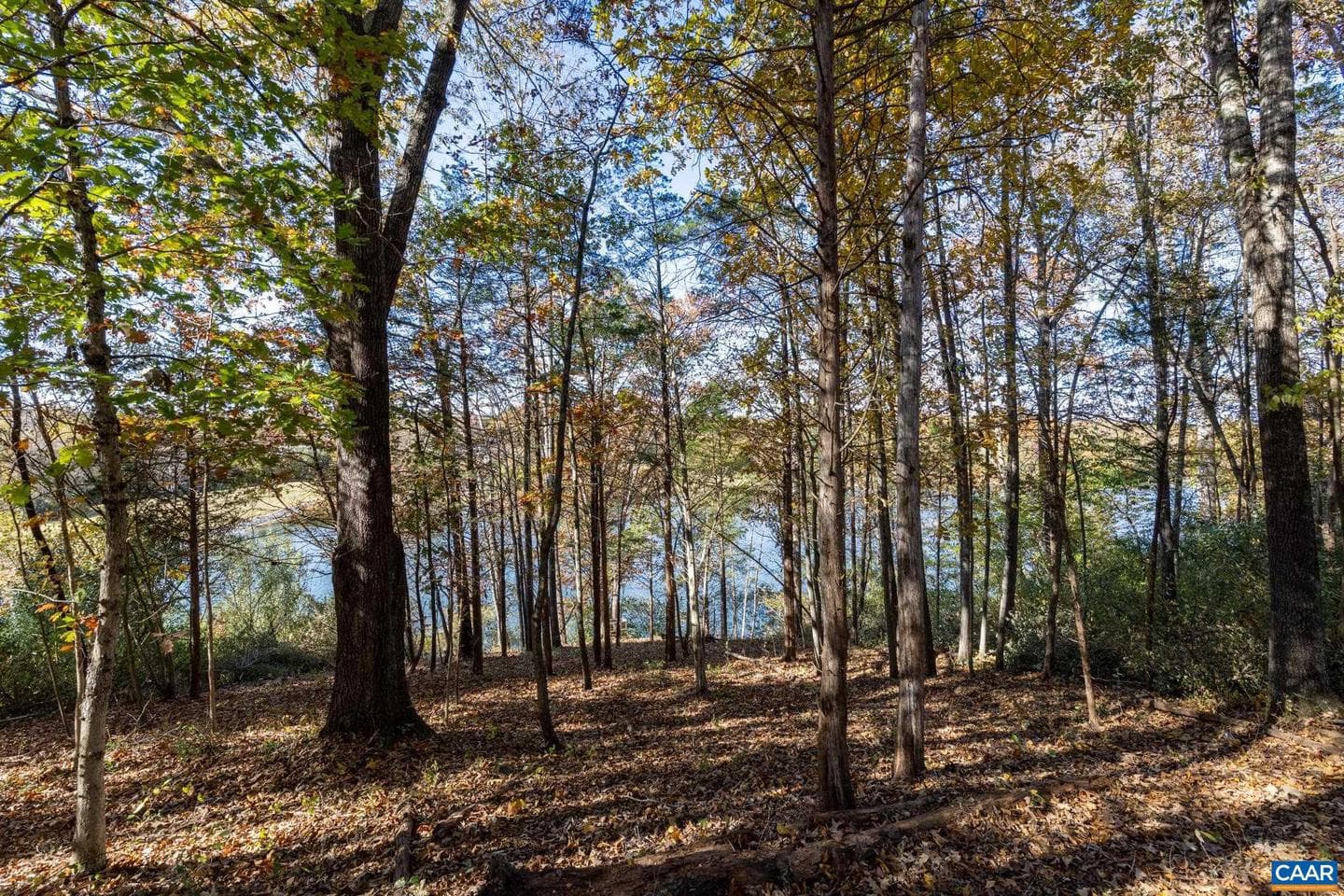 736 Jonquil Rd photo 33