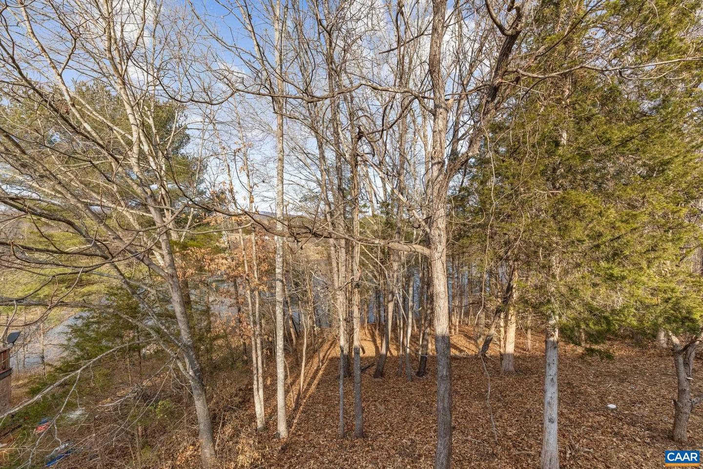 736 Jonquil Rd photo 36