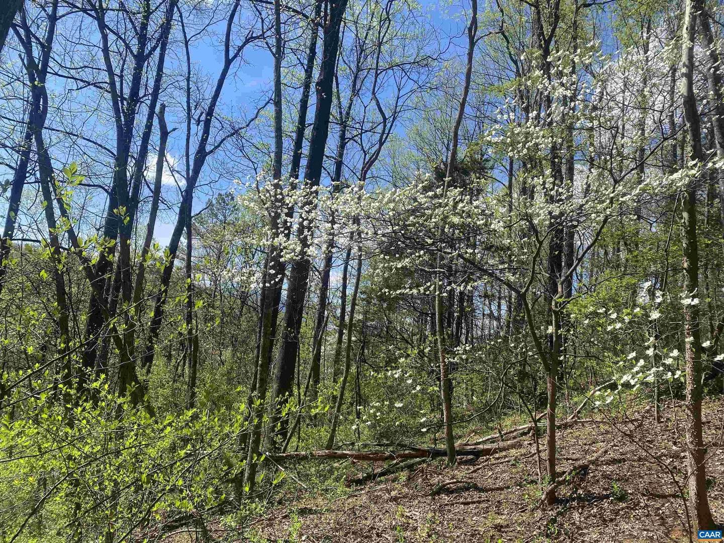 2728 East Branch Loop photo 26