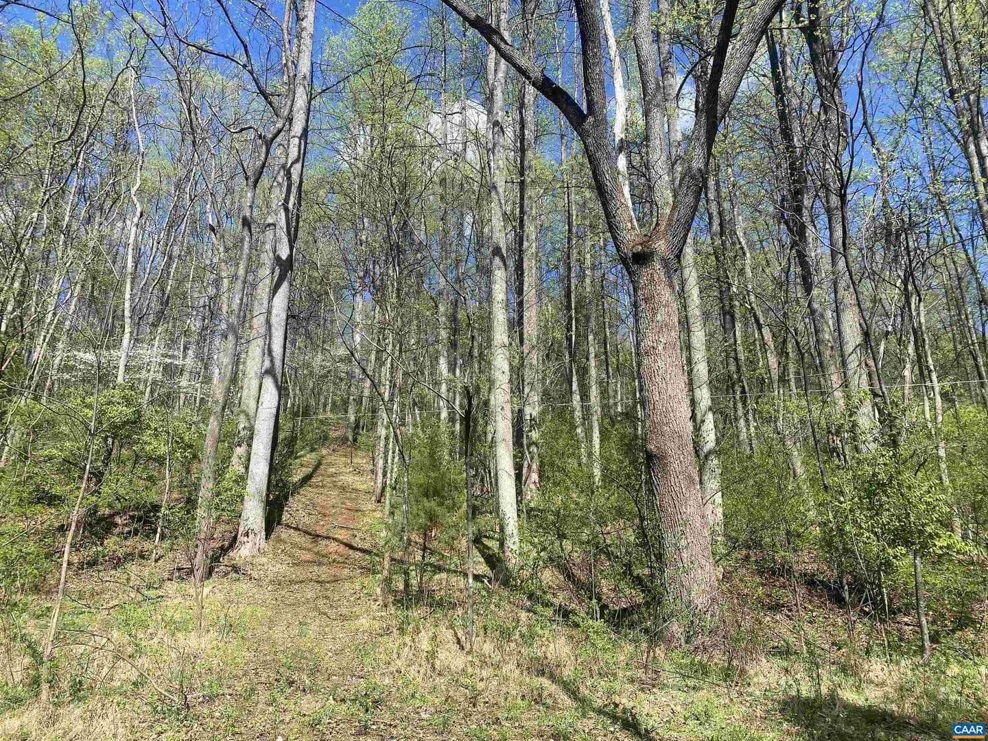 2728 East Branch Loop photo 41