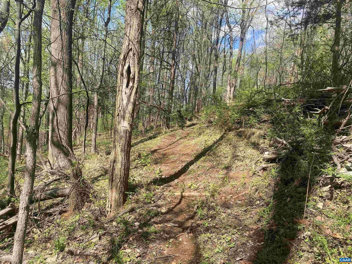 2728 East Branch Loop photo 45