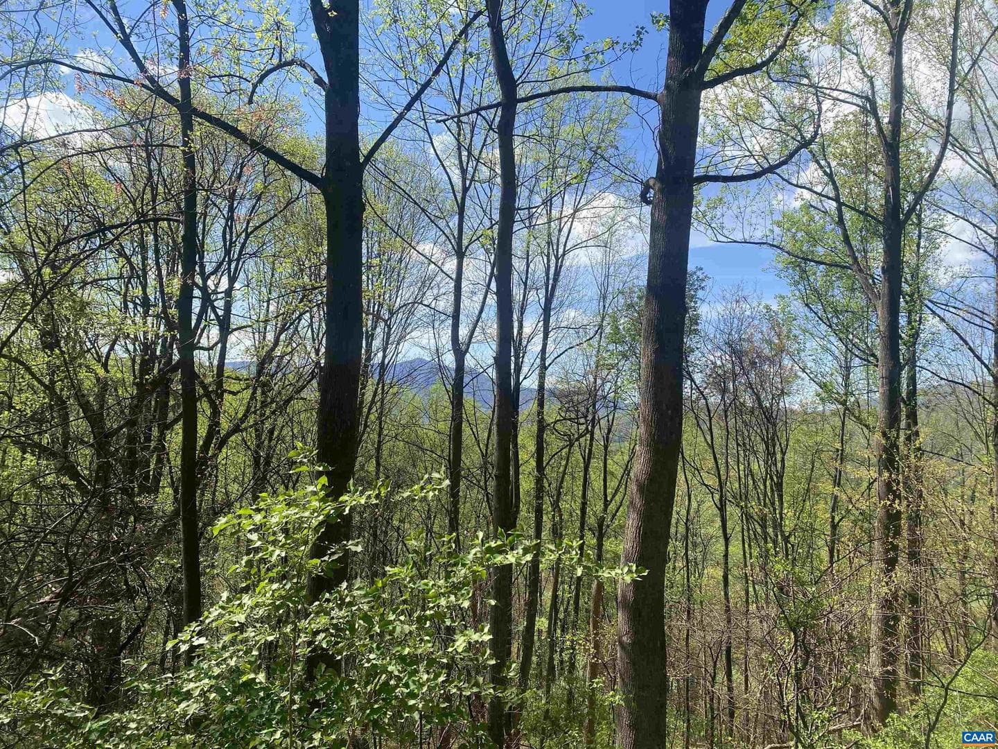 2728 East Branch Loop photo 7