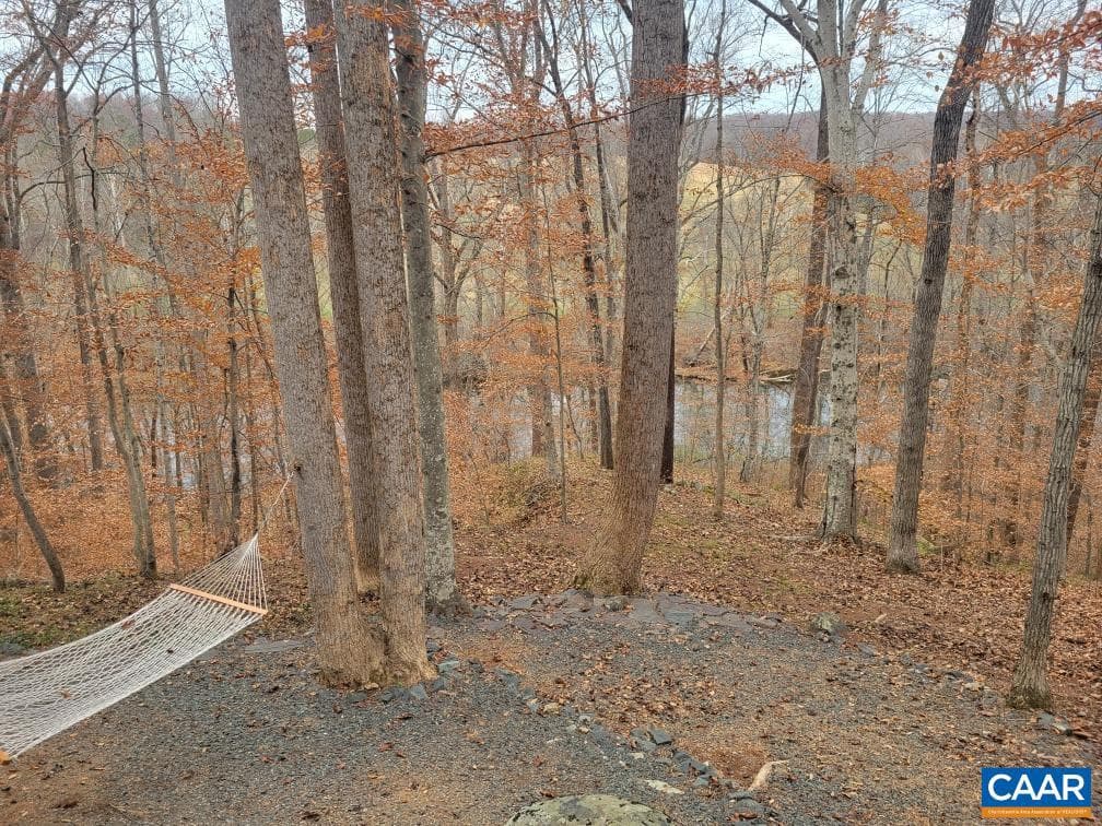 60 Chippewa Ln photo 75