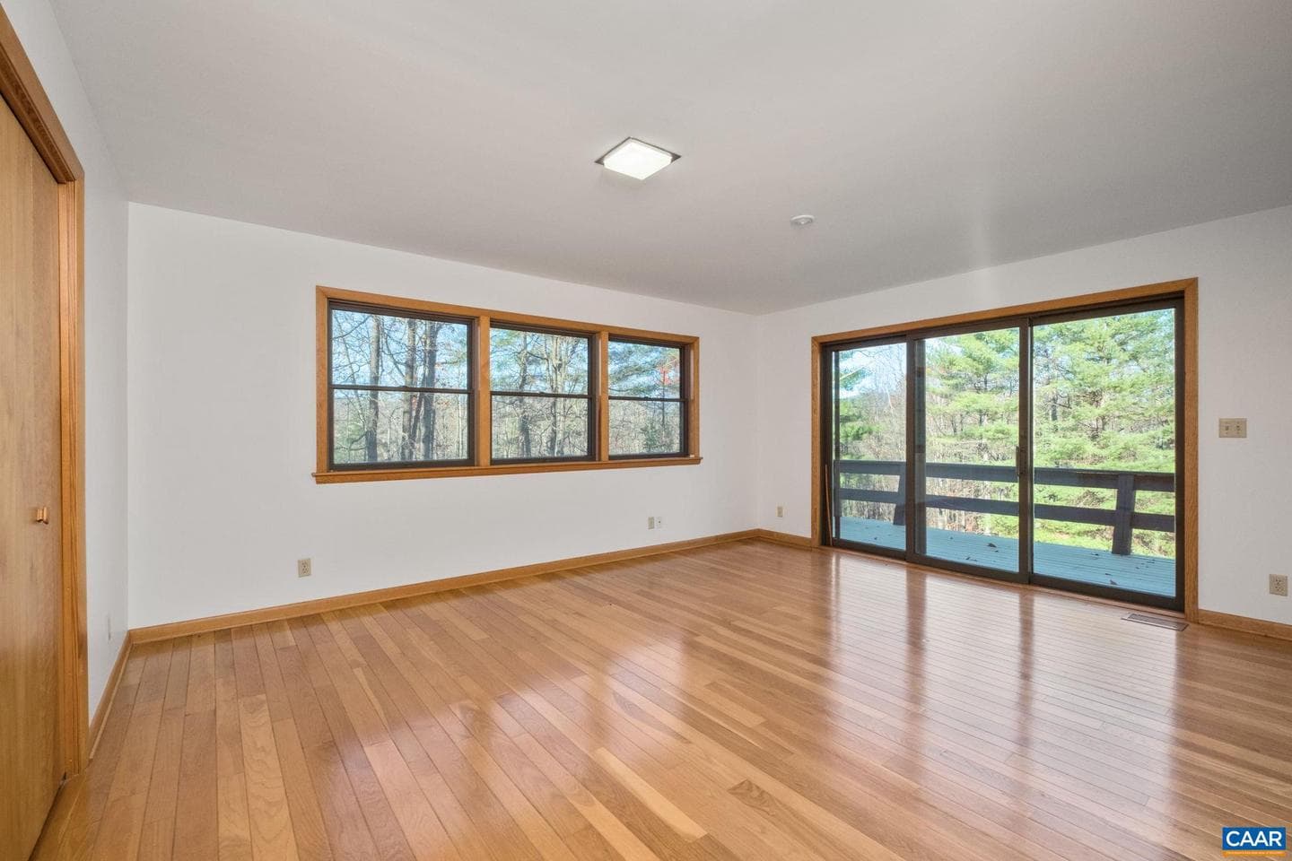 298 Courthouse Mountain Ln photo 25