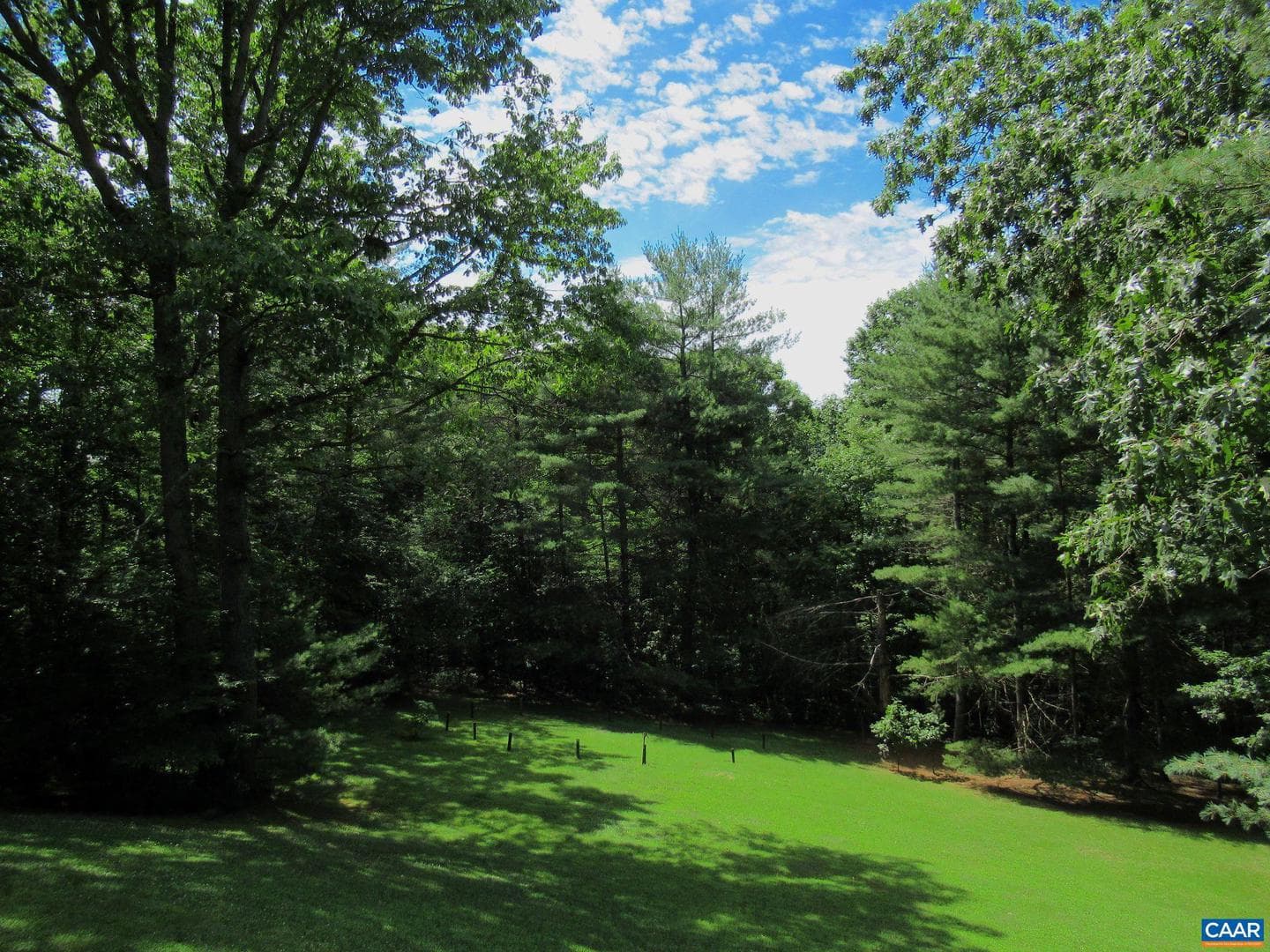 298 Courthouse Mountain Ln photo 58