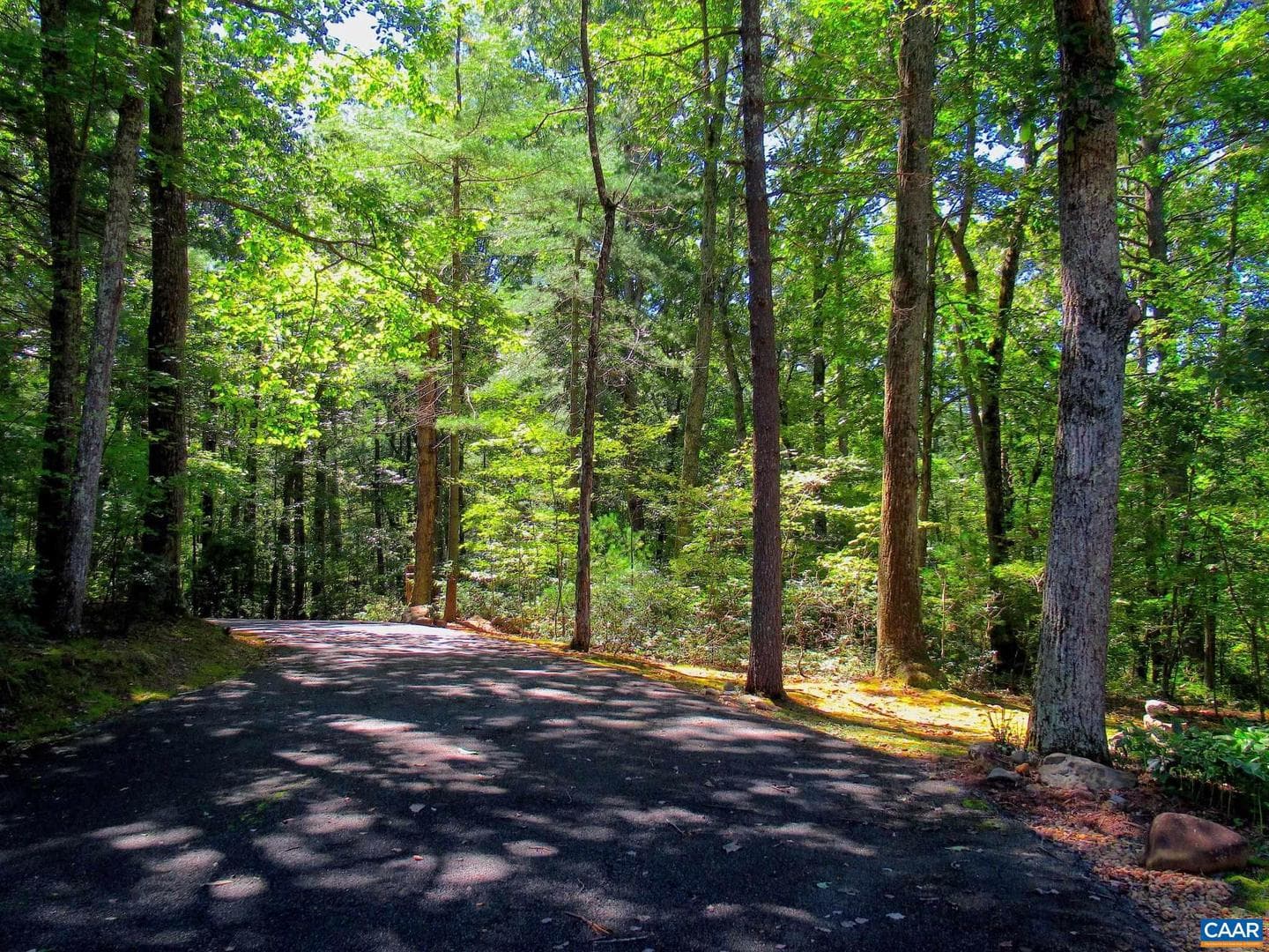 298 Courthouse Mountain Ln photo 66