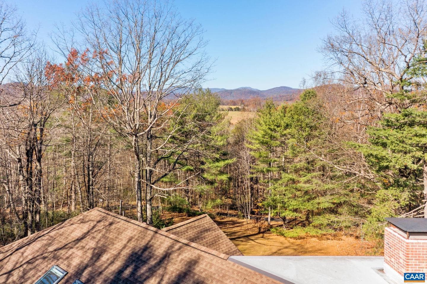 298 Courthouse Mountain Ln photo 7