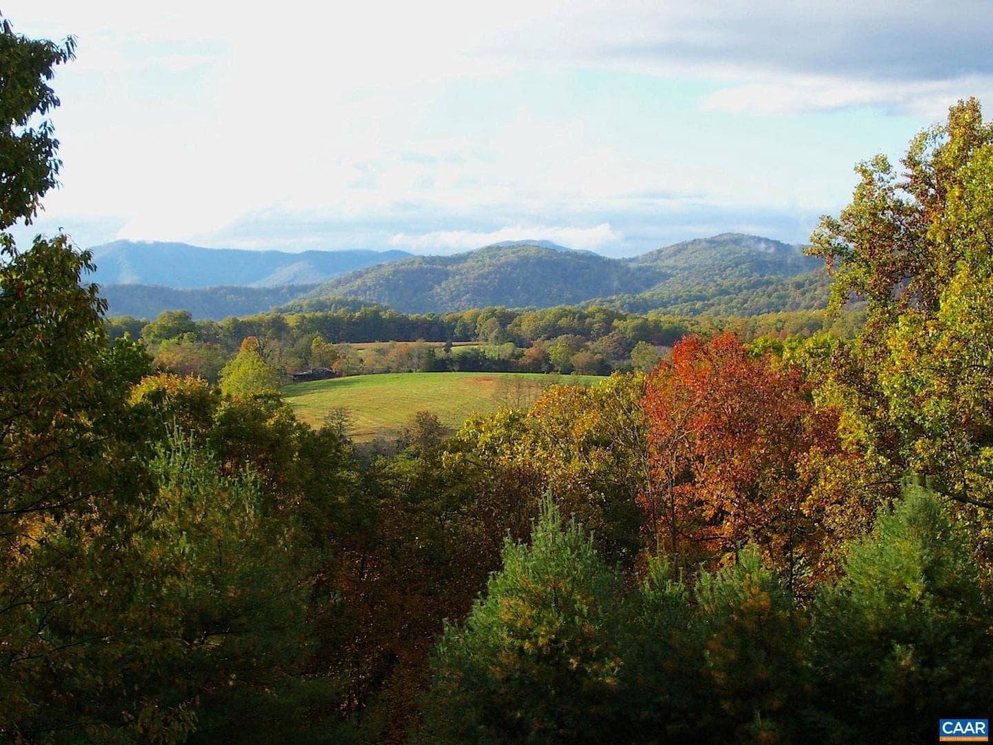 298 Courthouse Mountain Ln photo 9