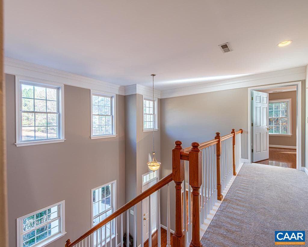 228 Antioch Springs Ln photo 19