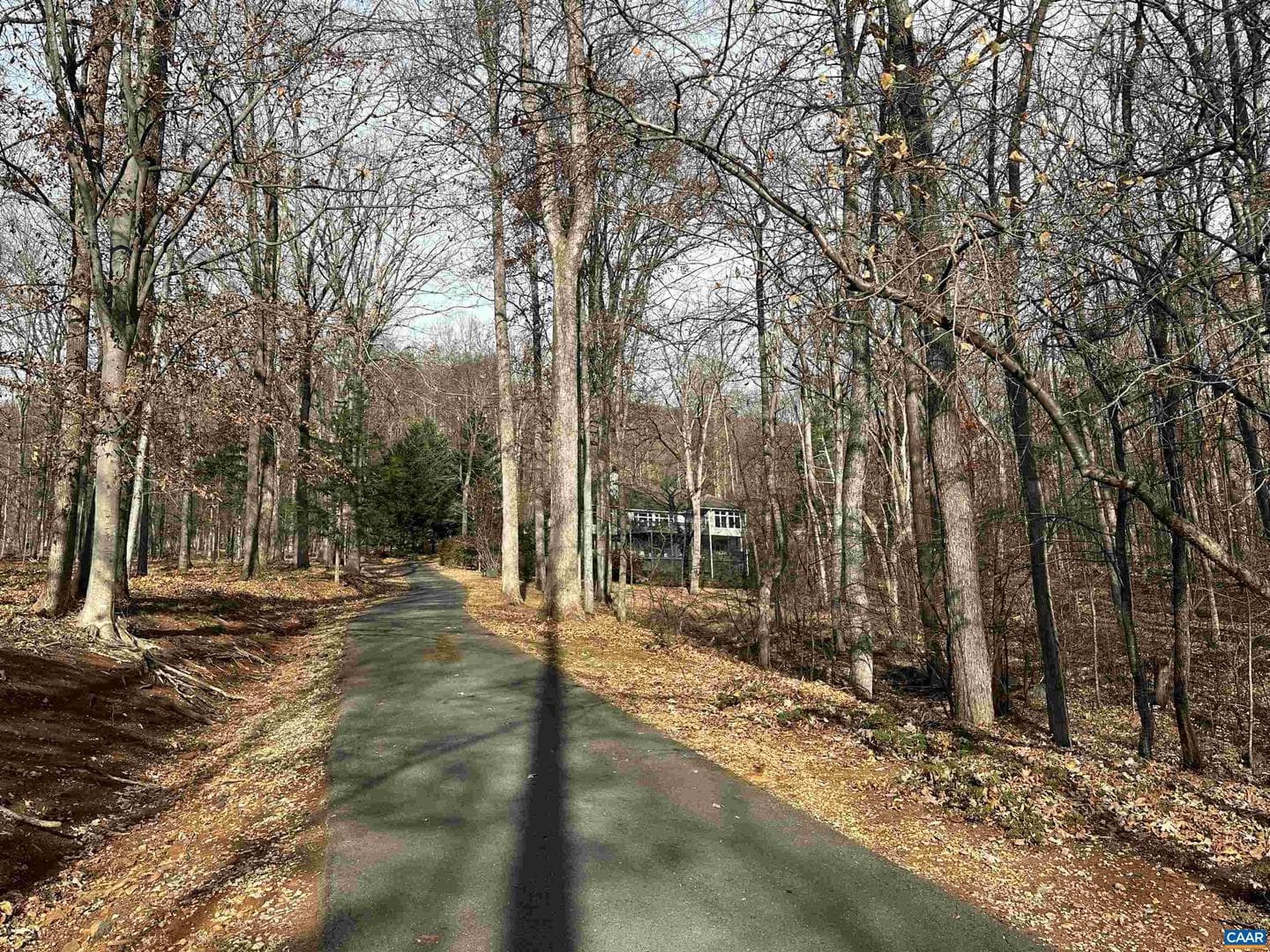 423 Foothills Dr photo 8