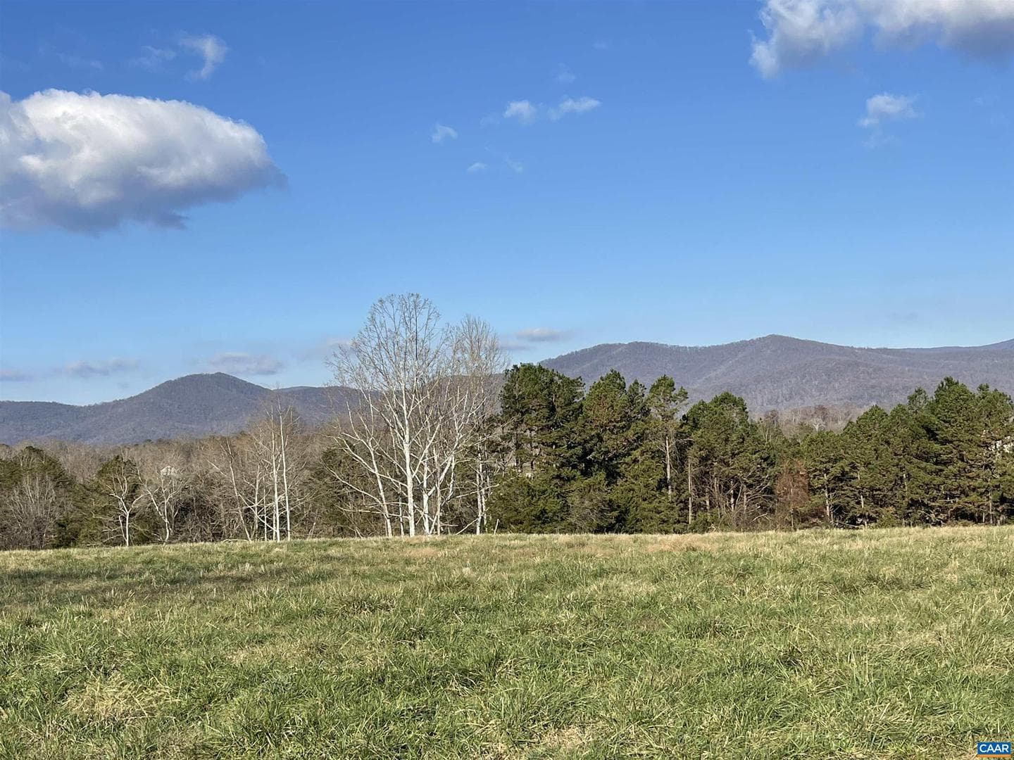4841 Free Union Rd photo 13