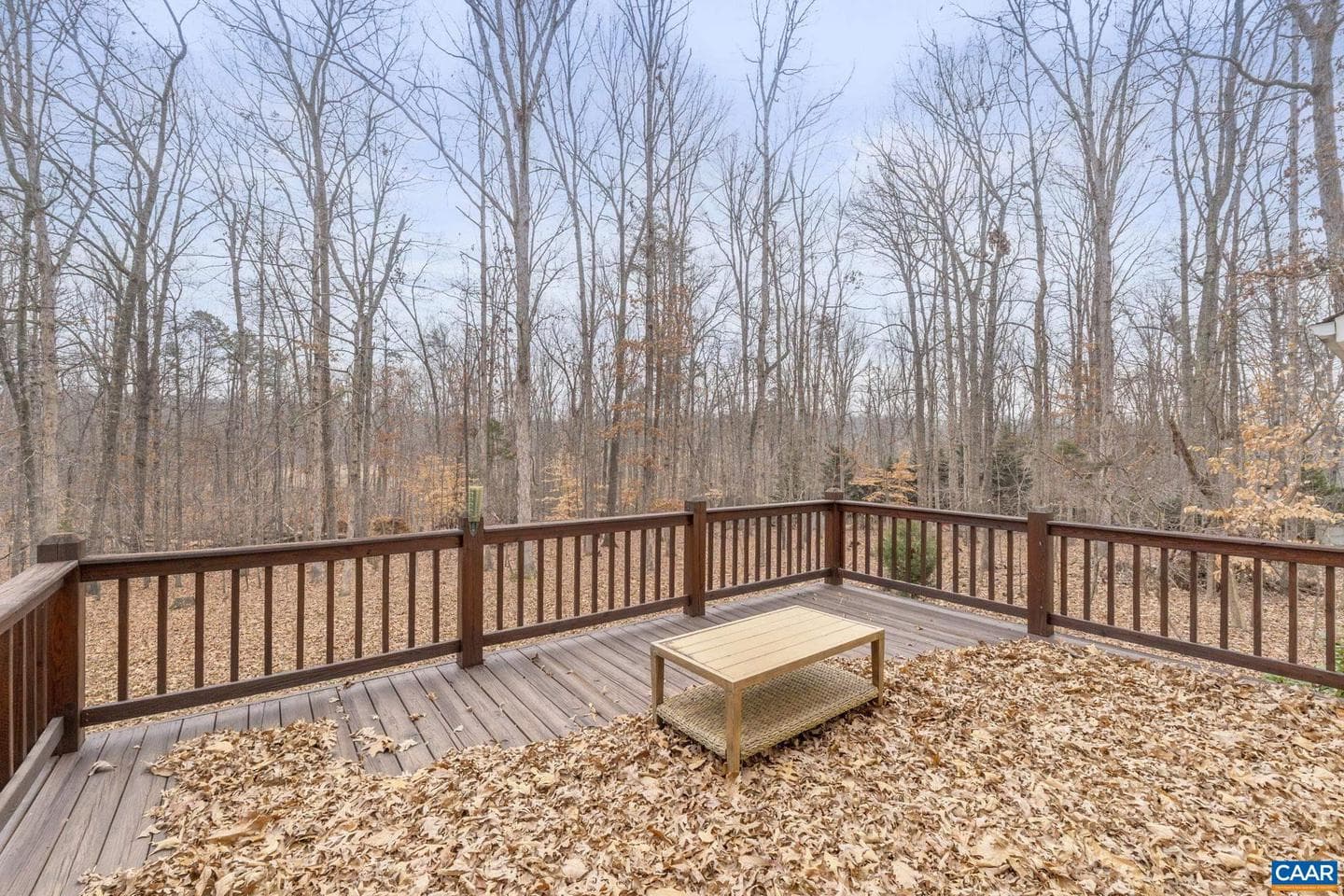 279 Deer Haven Ln photo 40