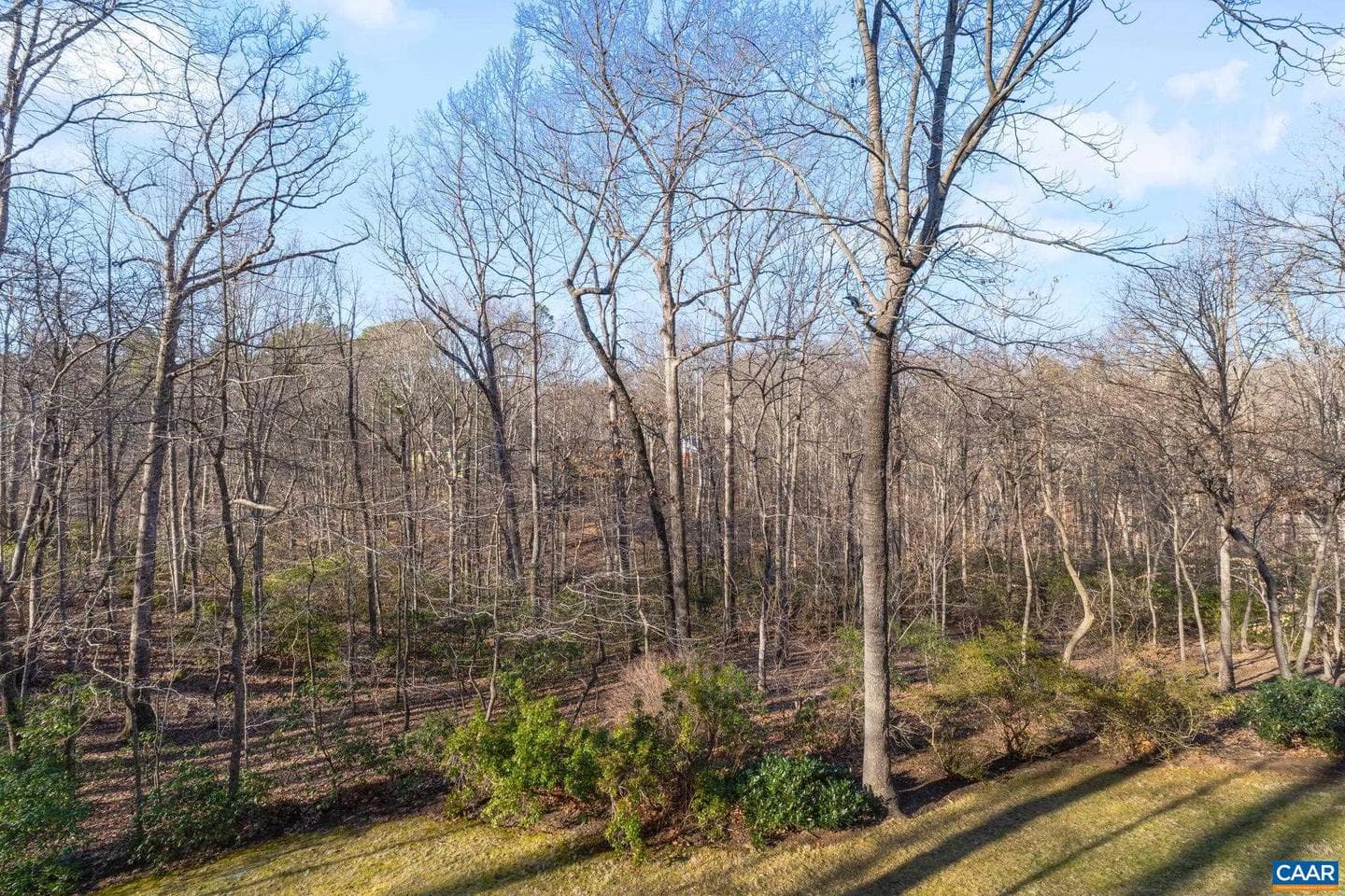 315 Terrell Rd W photo 10