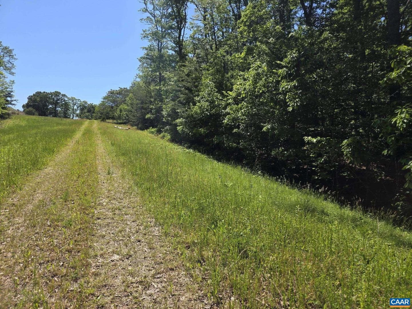 1 Coquina Dr, Barboursville