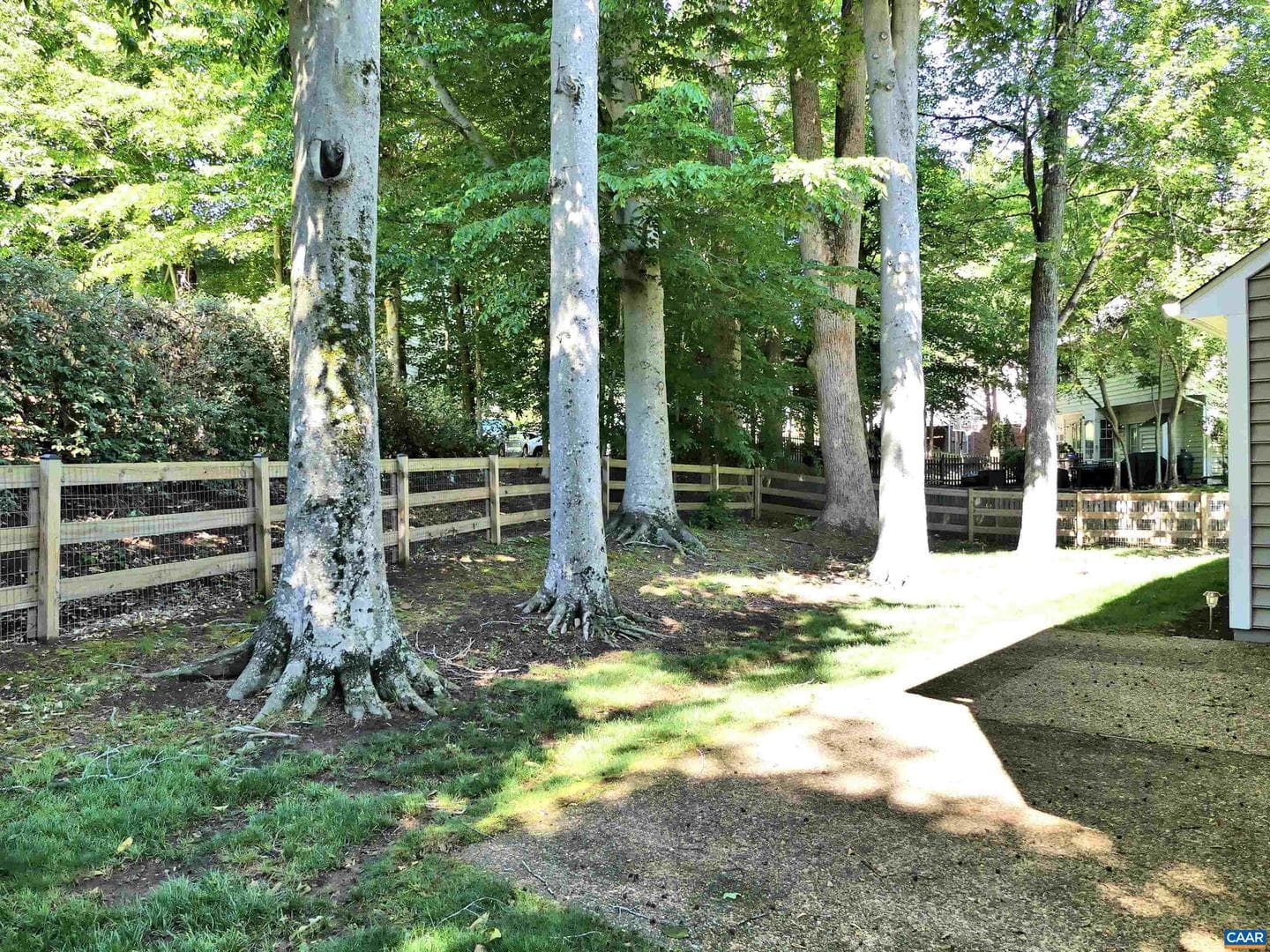 1230 Dunlora Dr photo 34