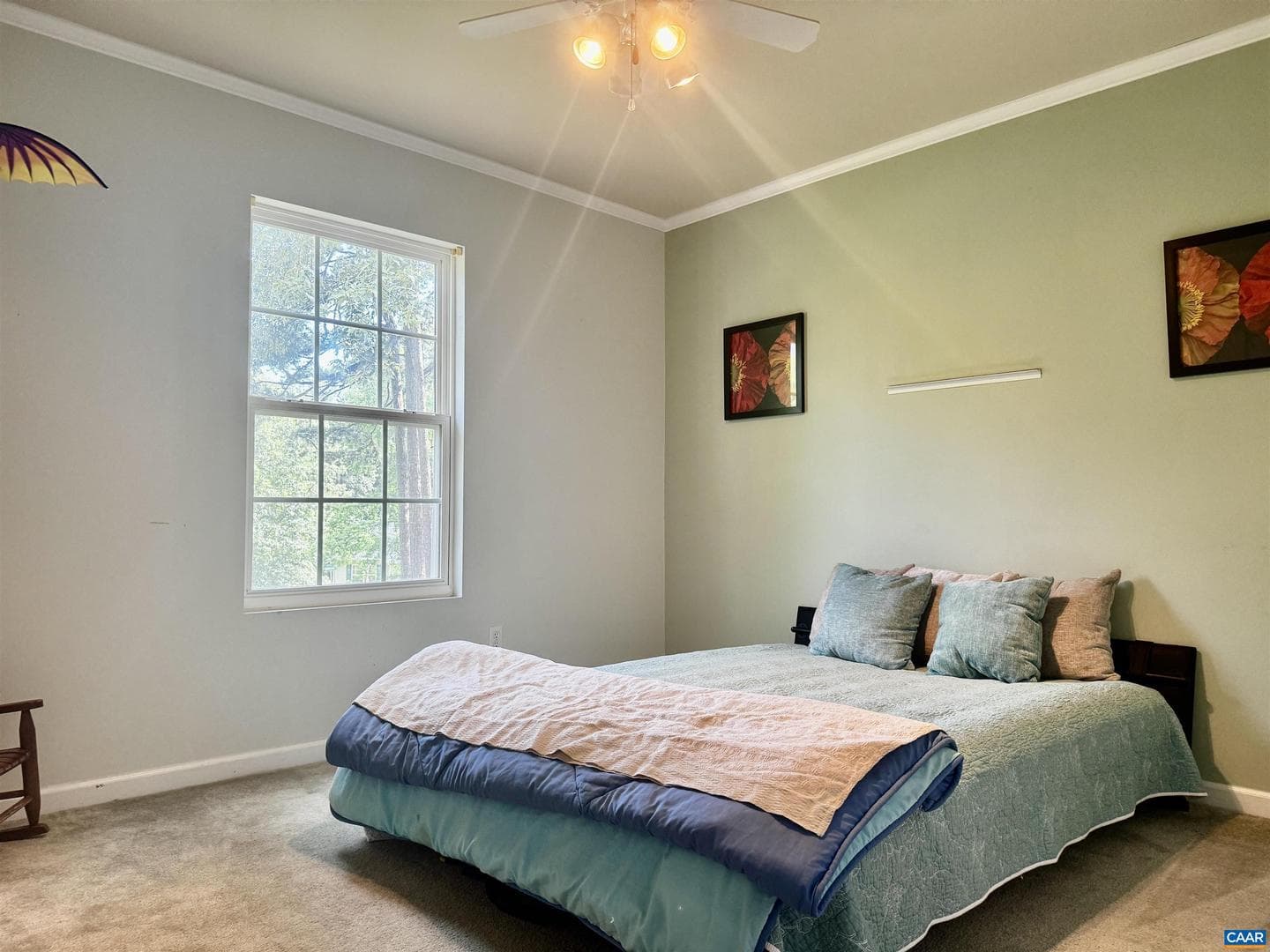 10 Loblolly Rd photo 14