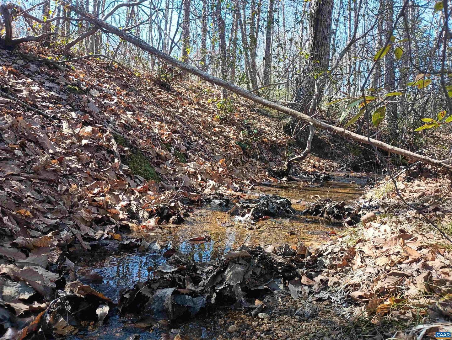 3901 Midland Rd photo 15