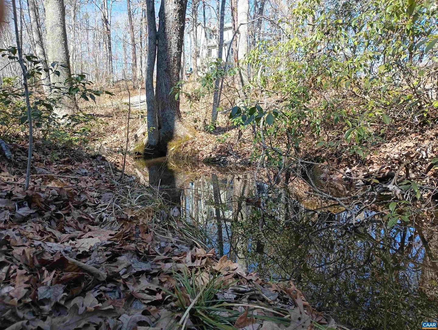 3901 Midland Rd photo 17