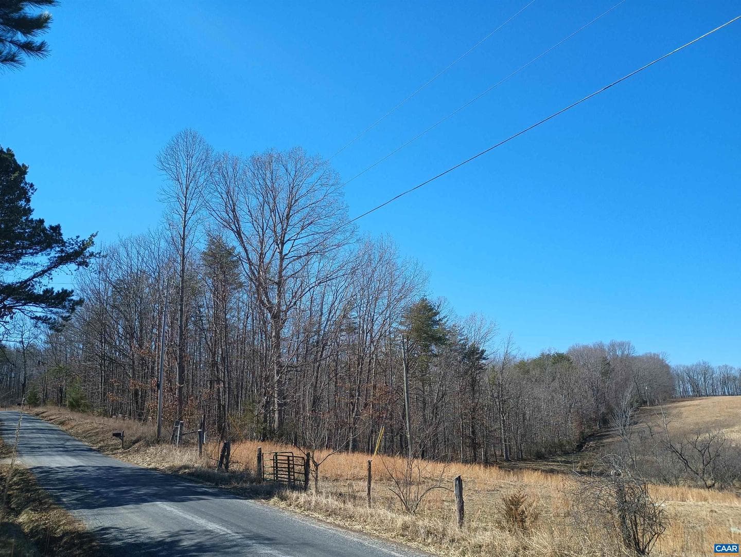 3901 Midland Rd photo 6