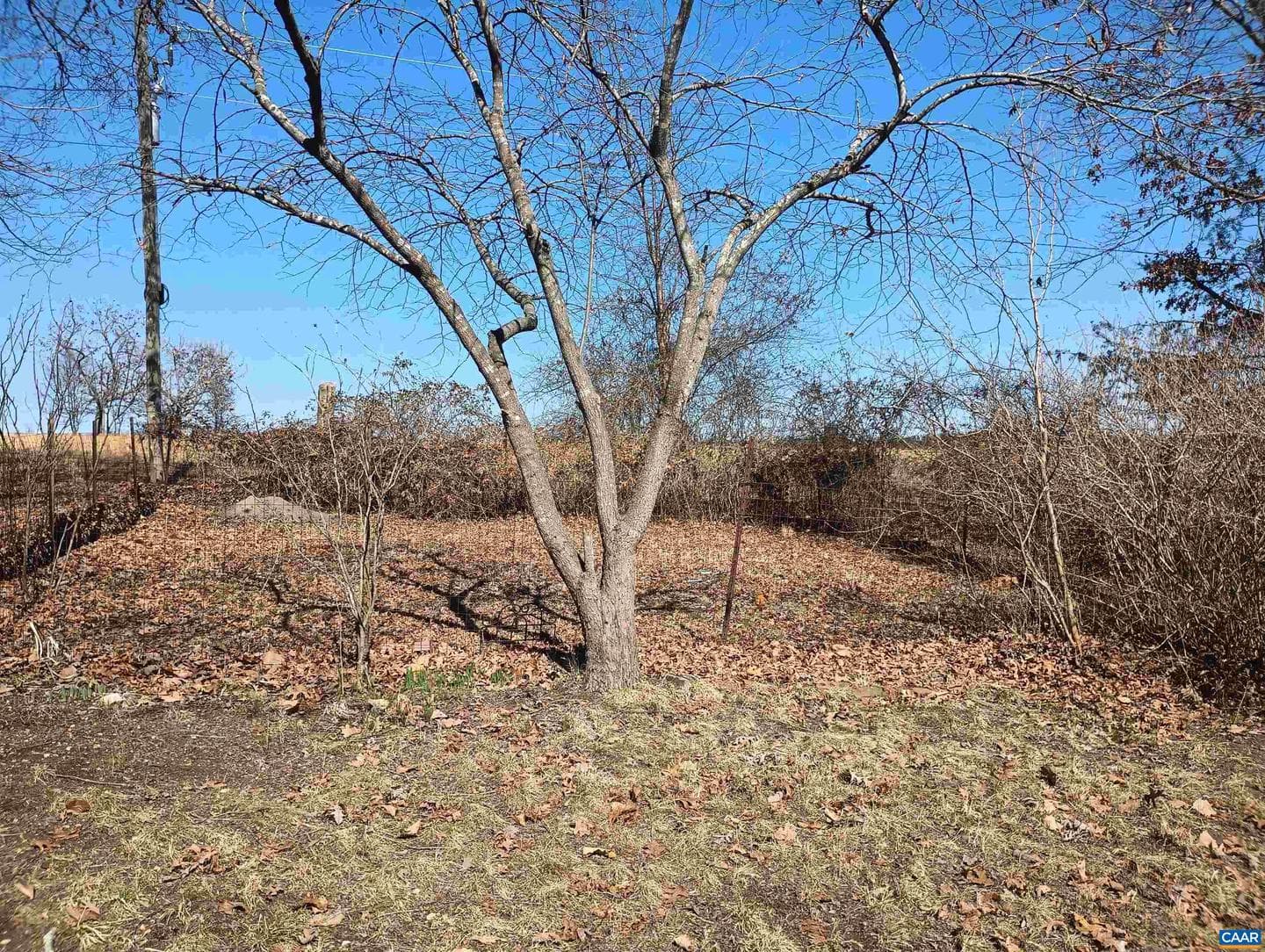 3901 Midland Rd photo 69