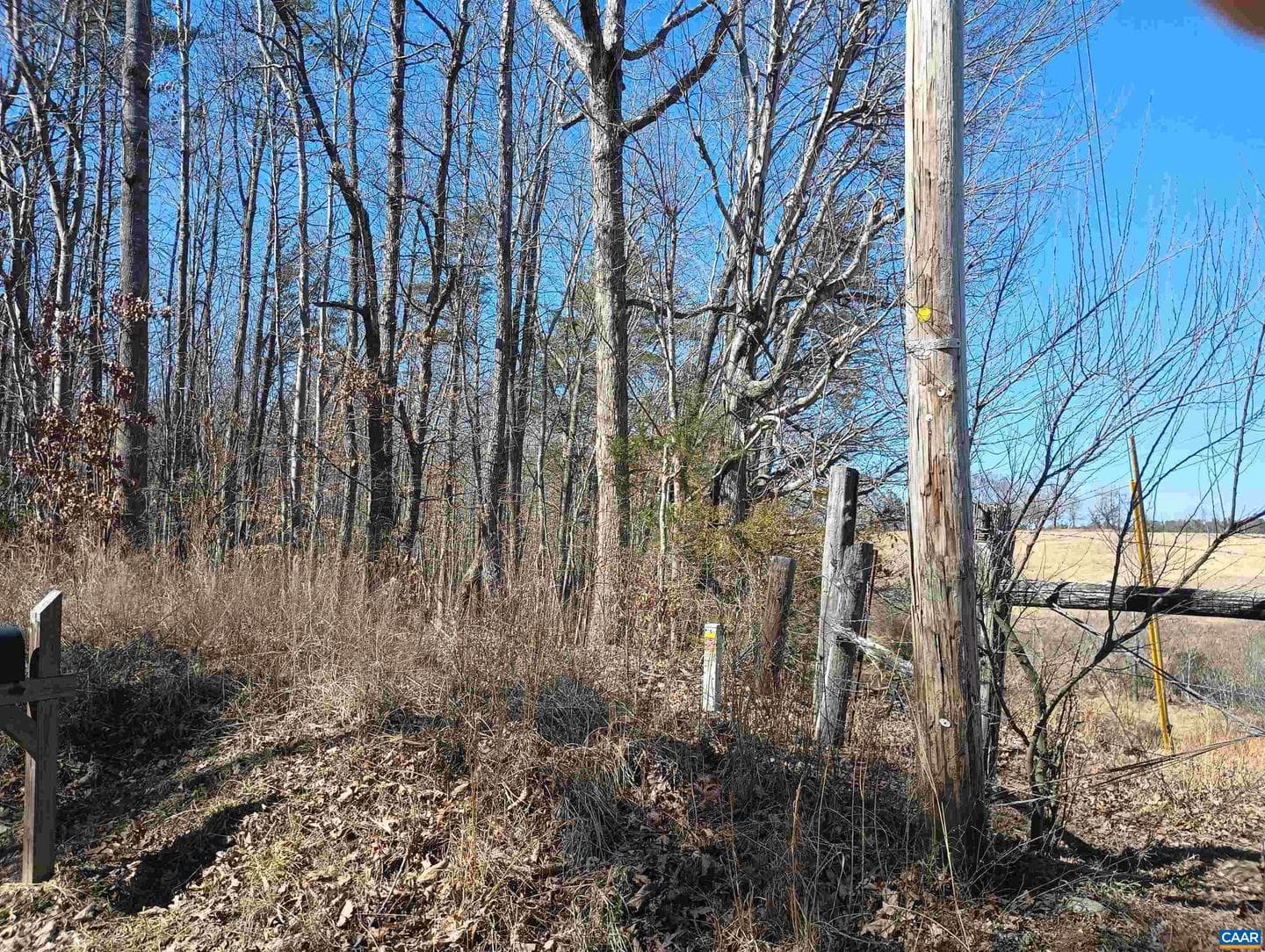 3901 Midland Rd photo 7