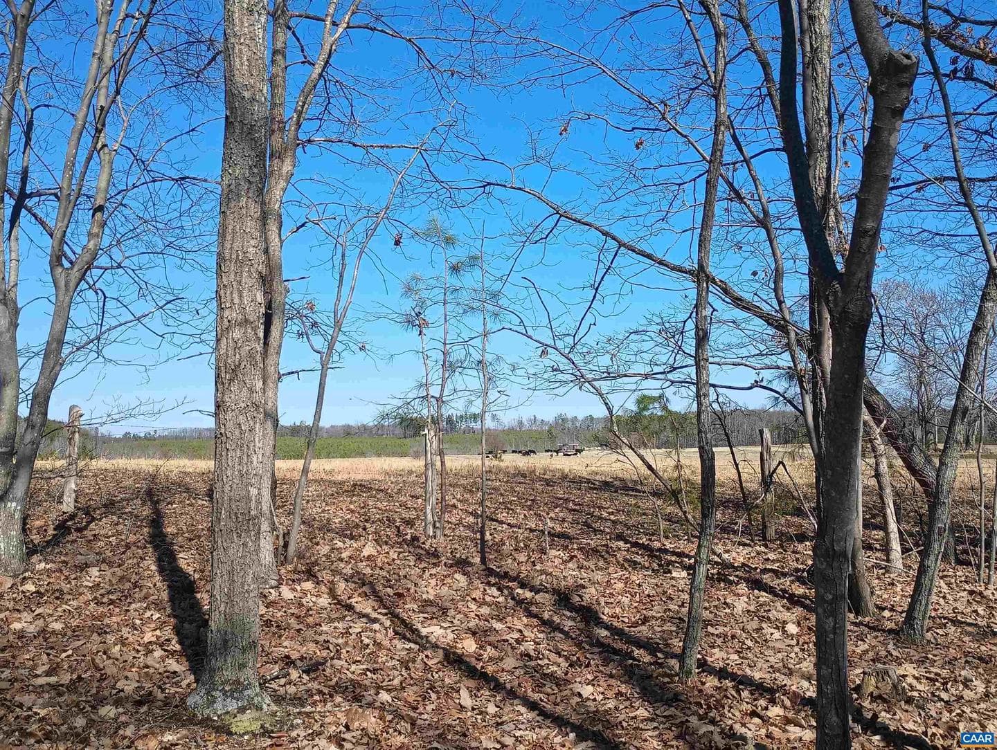 3901 Midland Rd photo 71