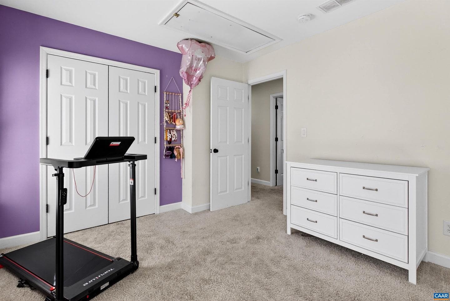 1069 Bristlecone Ln photo 25