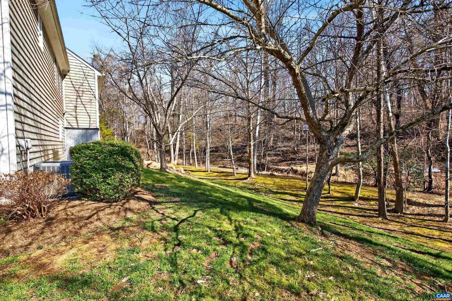 1069 Bristlecone Ln photo 31