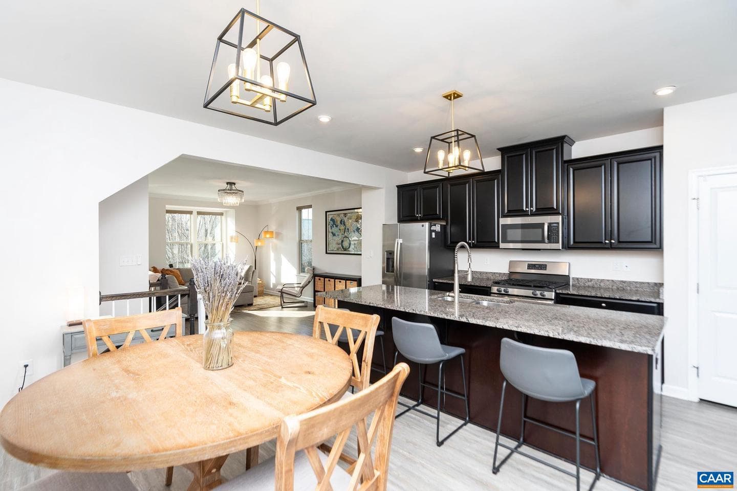 1517 Delphi Ln photo 16