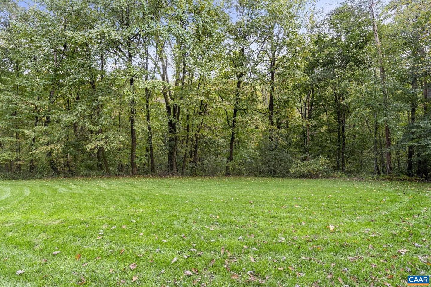 4635 Dick Woods Rd photo 42