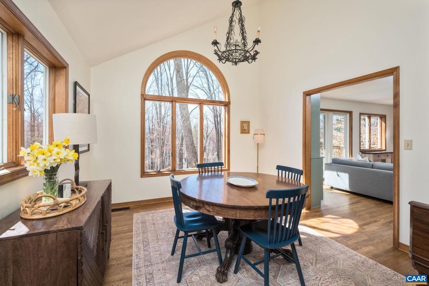 274 Grey Dove Ln photo 10