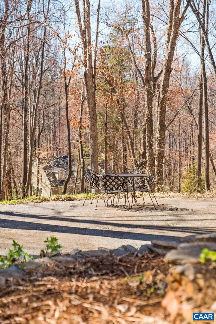 274 Grey Dove Ln photo 51