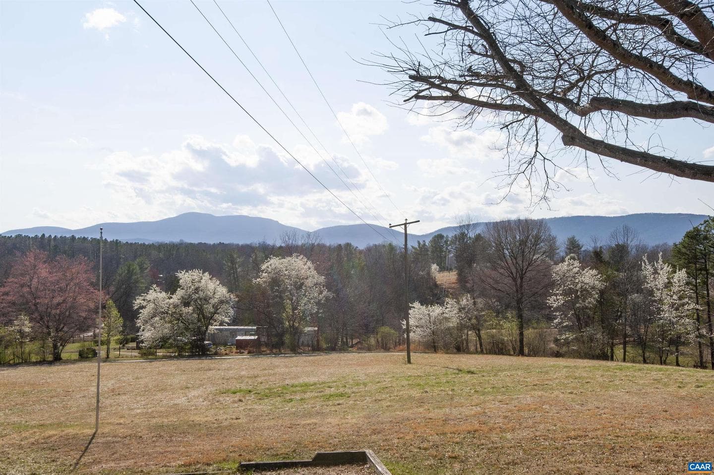 8268 Dick Woods Rd photo 51