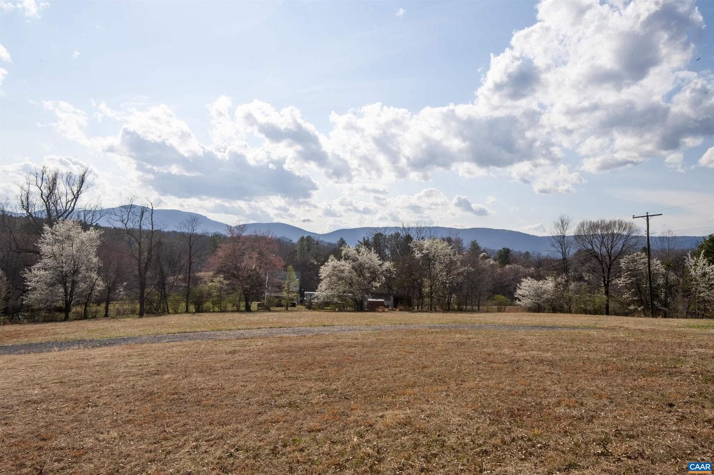 8268 Dick Woods Rd photo 52