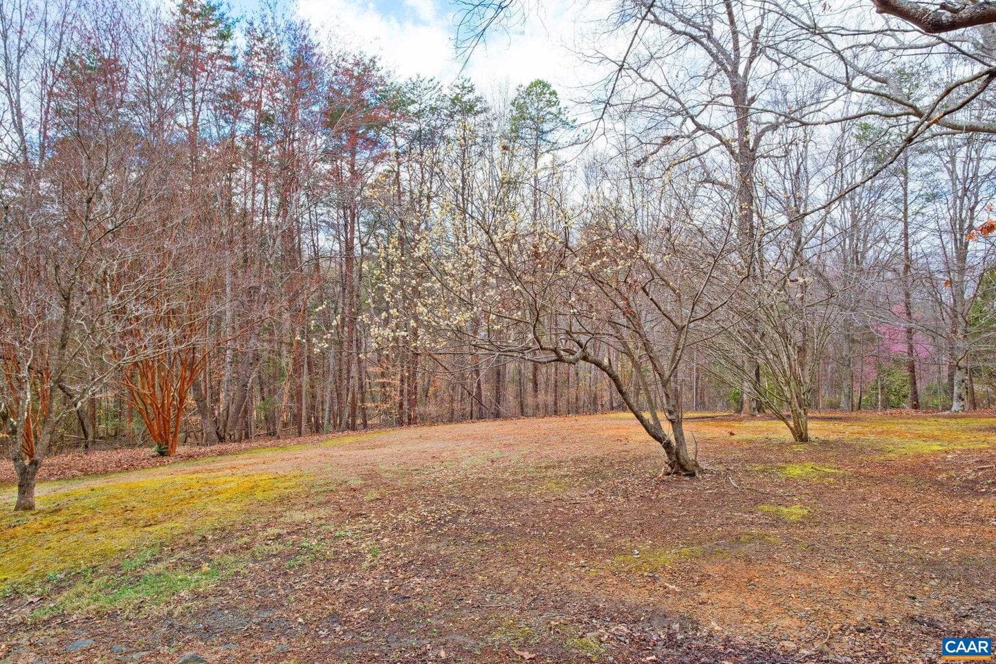 3319 Angus Rd photo 29